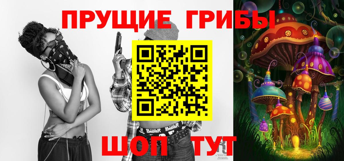 Галлюциногенные грибы Psilocybe Артёмовский